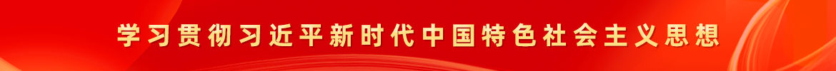 深入开展学习贯彻习近平新时代中国特色社会主义思想 飘花影院